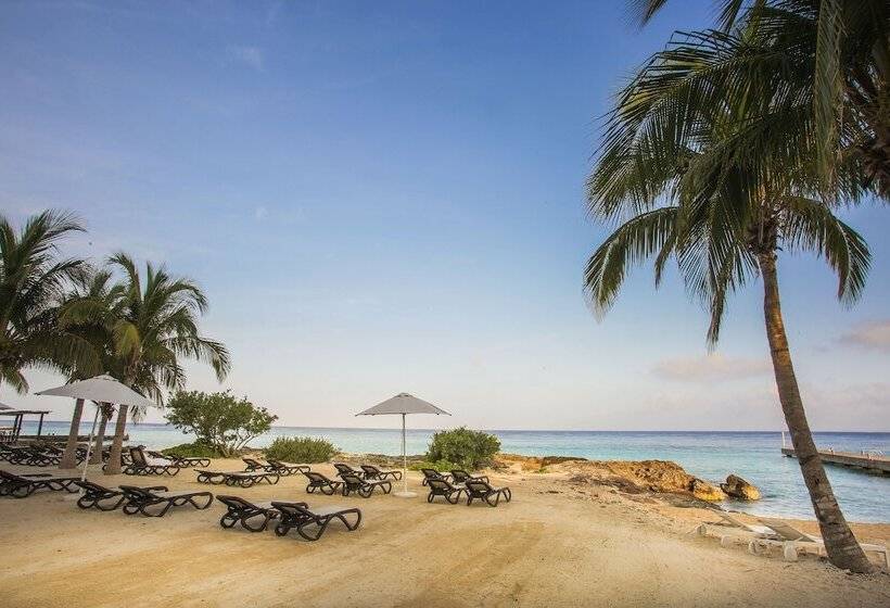 فندق The Westin Cozumel