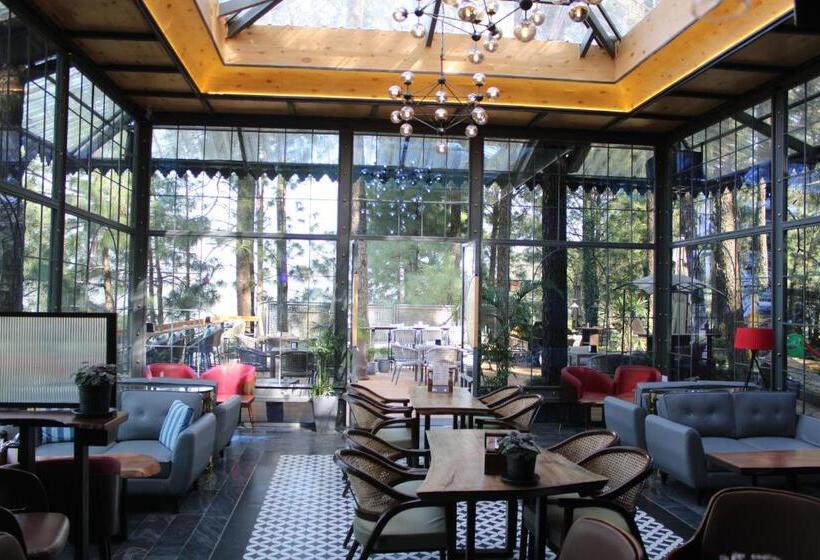 Kasauli Hills Resort