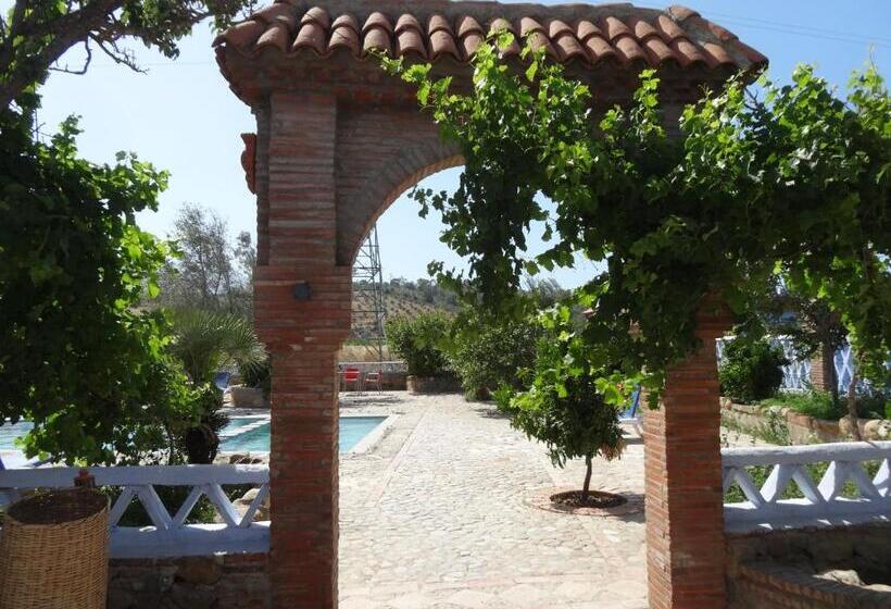 هاستل Auberge Alwahabi