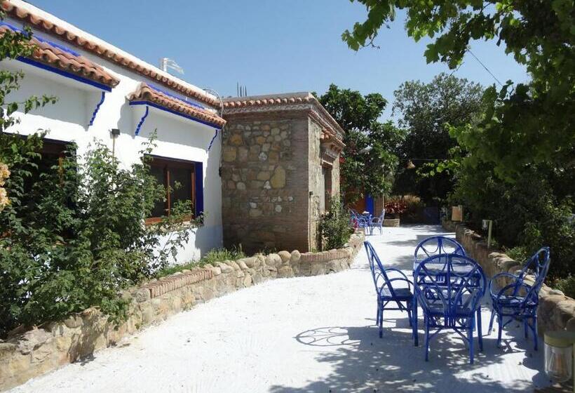 هاستل Auberge Alwahabi