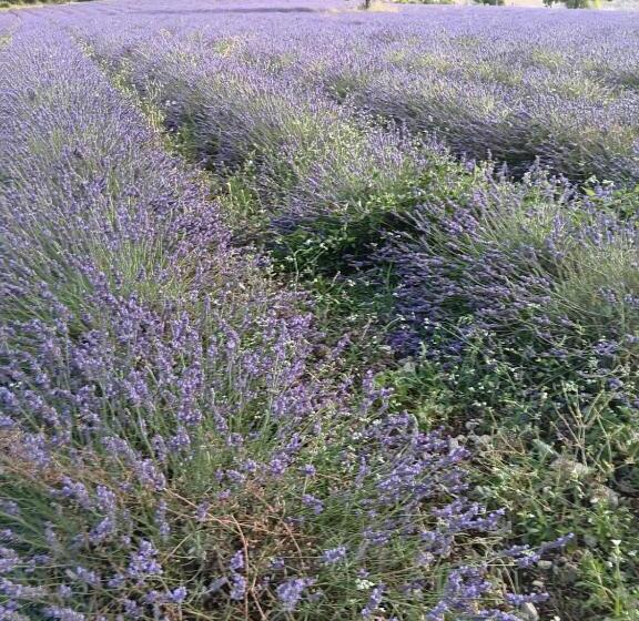 مبيت وإفطار Chambre D Hôtes, à La Nuitée