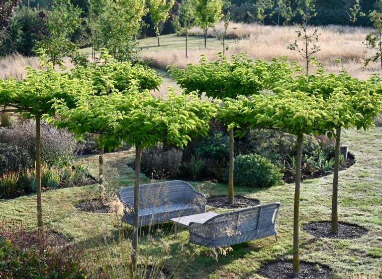 مبيت وإفطار Orchard Dene