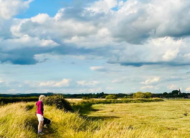 Bed and Breakfast Orchard Dene