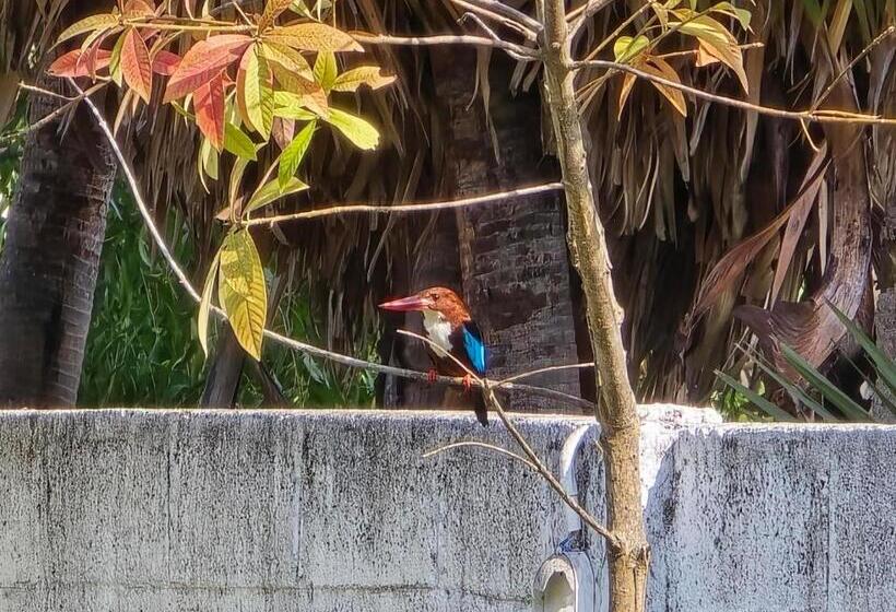 Flash3 Beach Resort Ecr