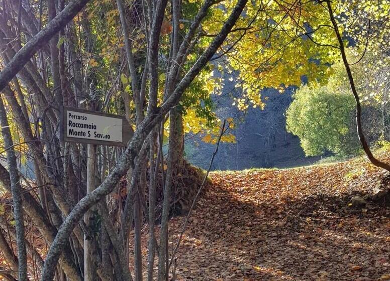 فندق Agriturismo Roccamaia