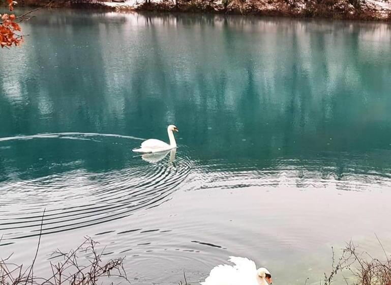 فندق Agriturismo Roccamaia