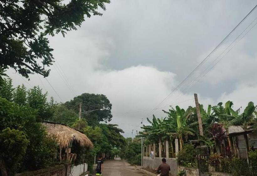 캡슐 호텔 Mamacita Café House