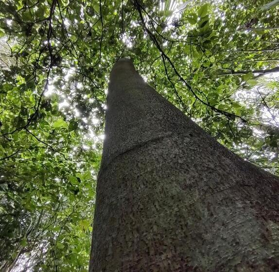 ホテル Finca Sumak Kawsay Ncc