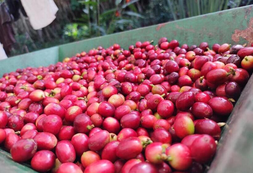 ホテル Finca Sumak Kawsay Ncc