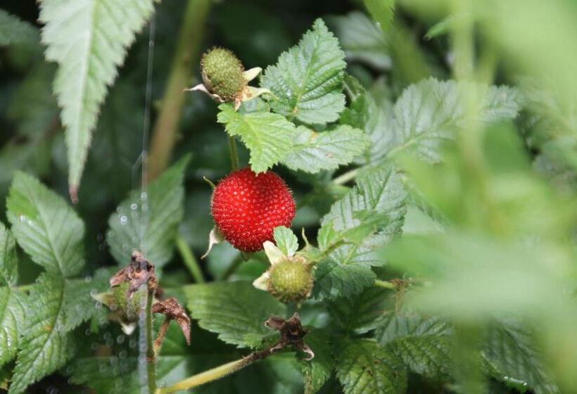 ホテル Finca Sumak Kawsay Ncc