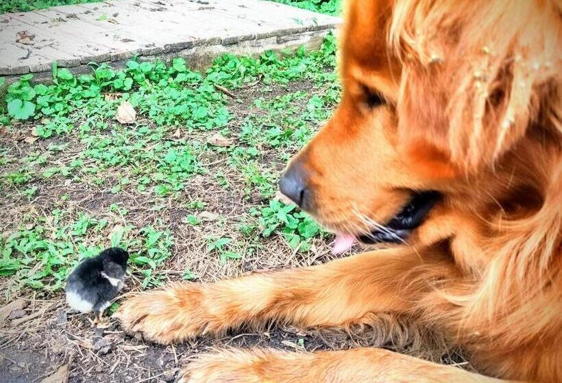 ホテル Finca Sumak Kawsay Ncc