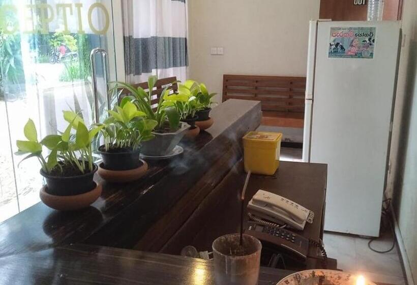 Отель Nightingale Inn