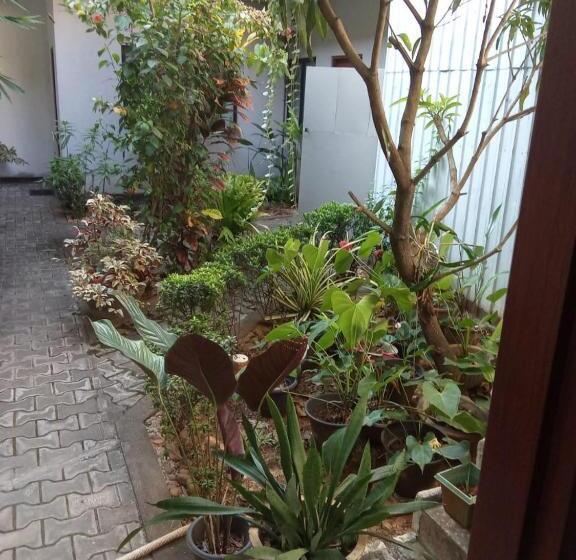 Отель Nightingale Inn