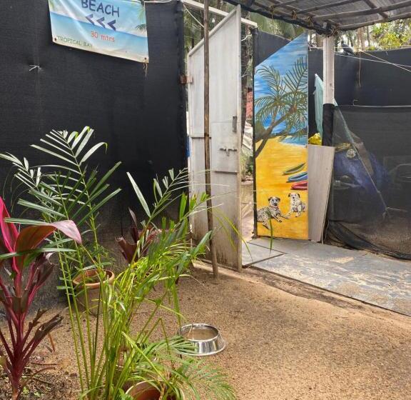 Отель Tropical Bay