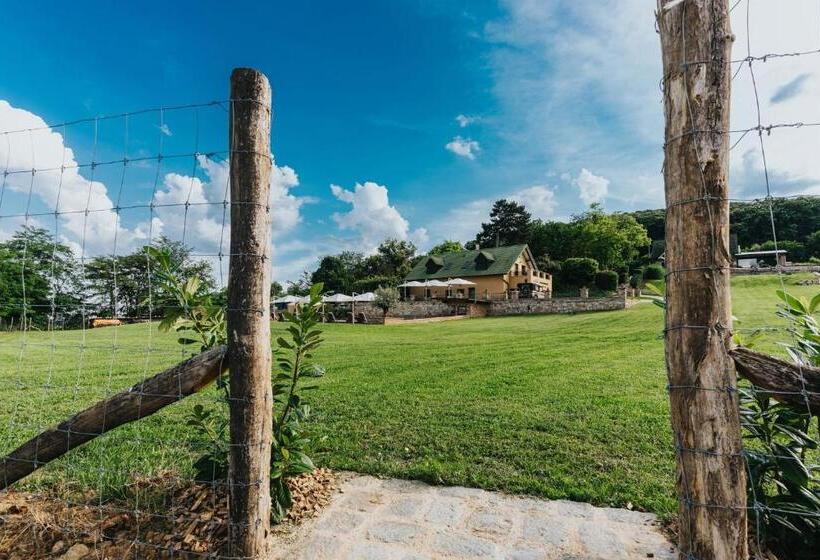 פנסיון Amannsberger Wineyardlodge