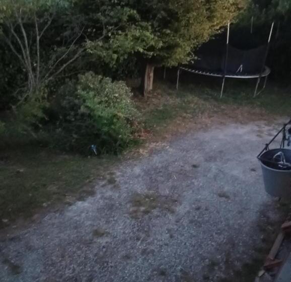 פנסיון Casa Di Petya