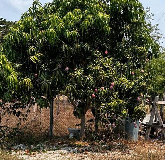 פנסיון Casita Vélez