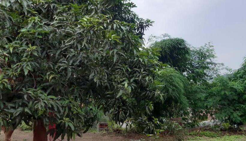 פנסיון Gurukurpa Bhakt Nivas