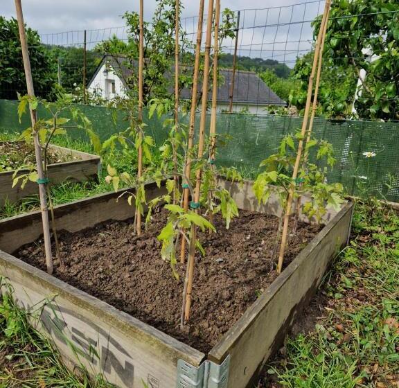 펜션 La Moutonne Des Landes De Lanvaux