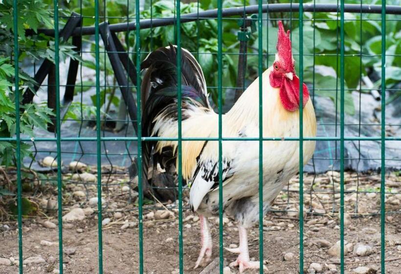 펜션 Le Camere Del Nonno Momi