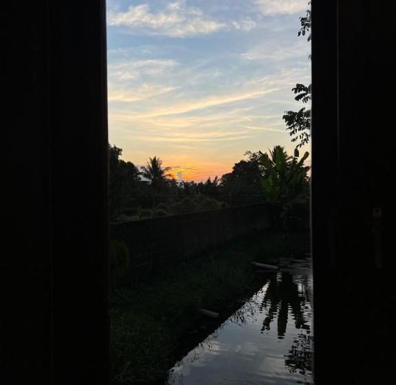 Пансион Liontree Villa