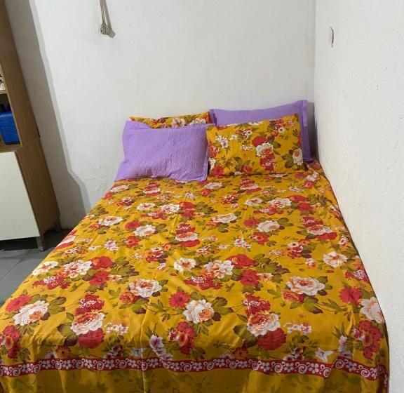 膳宿费 Studio Eli Lima