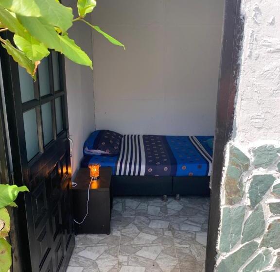 膳宿费 Supershorts