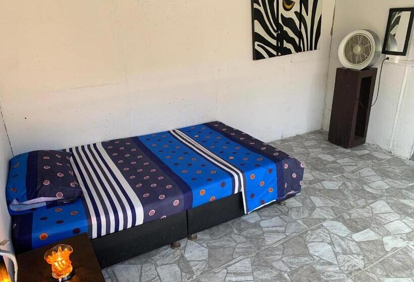 膳宿费 Supershorts