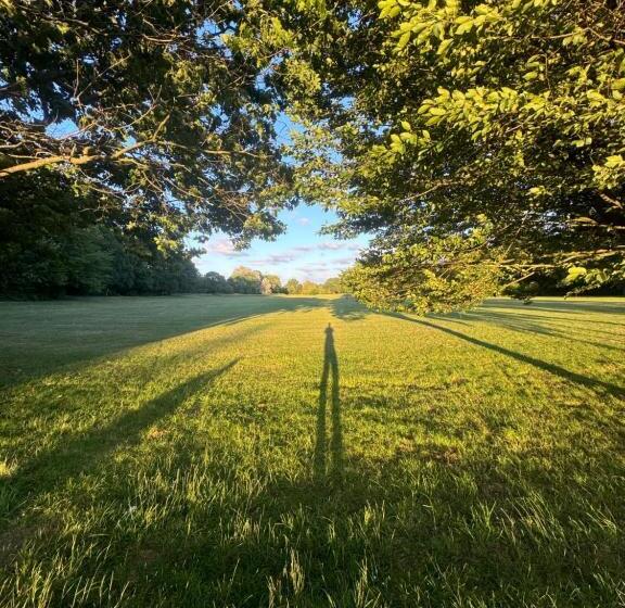 بنسيون The Twin Bed Grove
