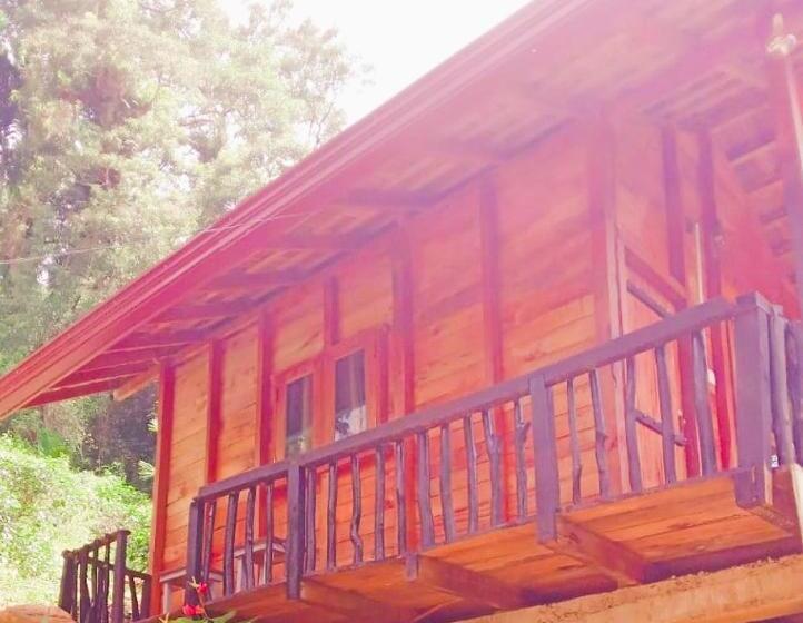 بنسيون Woodland Hideaway In Sinharaja