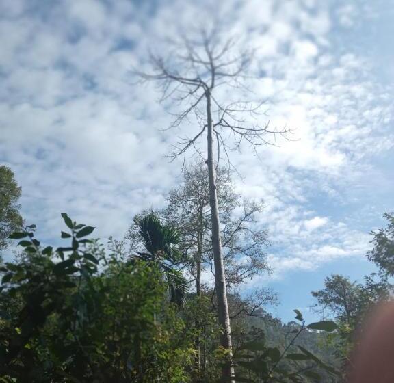 بنسيون Woodland Hideaway In Sinharaja