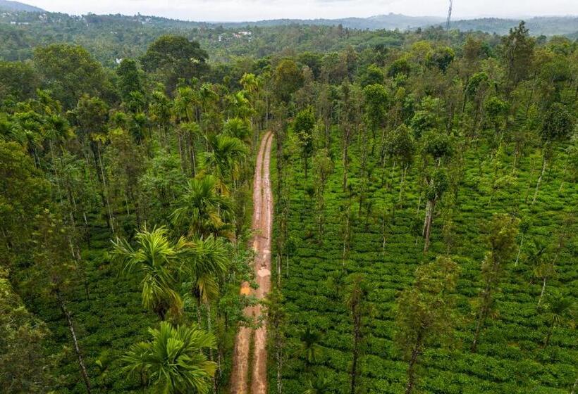 リゾートホテル Theyila Wayanad