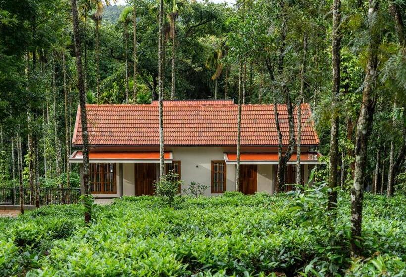 リゾートホテル Theyila Wayanad