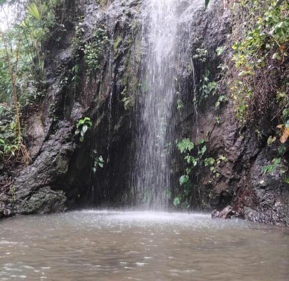 هاستل Mar Y Selva