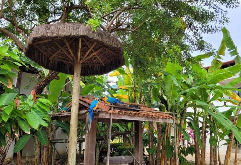 Apartamento 2 Suites Pé Na Areia Ilhéus Praia Do Sul