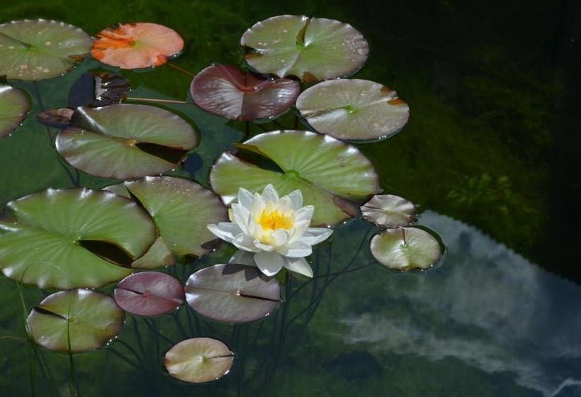 Aparthotel Almrösl Im Großarltal