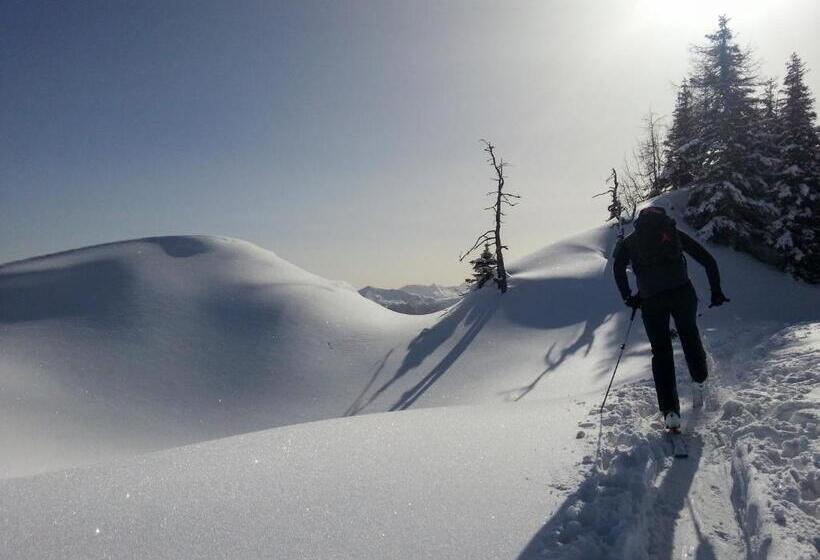 Aparthotel Almrösl Im Großarltal