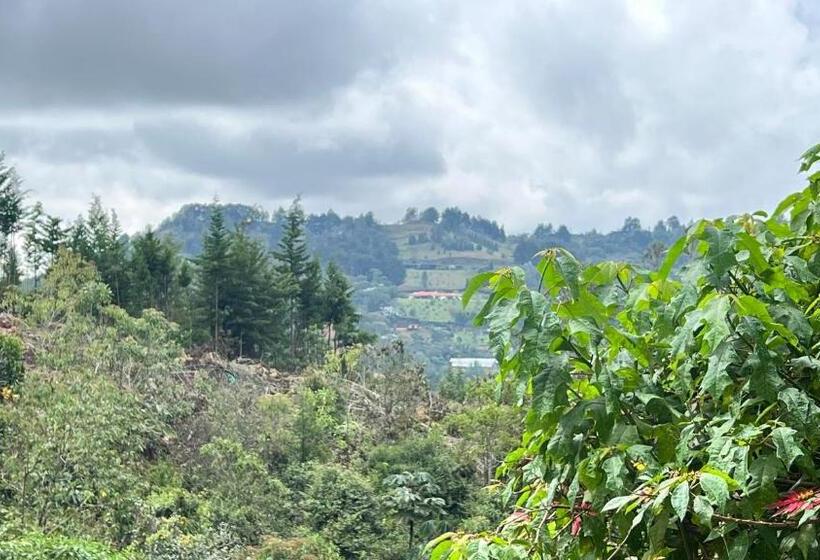 Autenthico Sajonia Hotel Aeropuerto