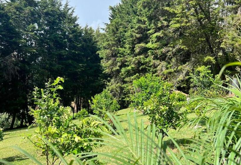 Autenthico Sajonia Hotel Aeropuerto