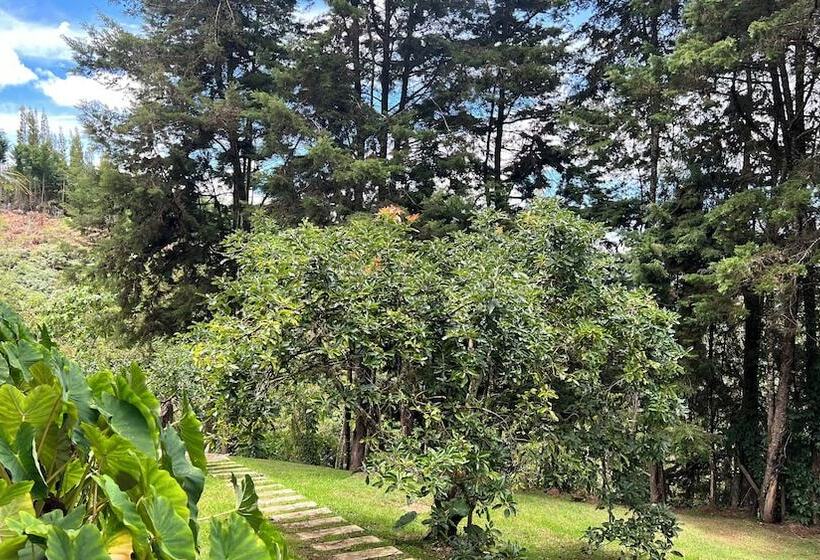 Autenthico Sajonia Hotel Aeropuerto