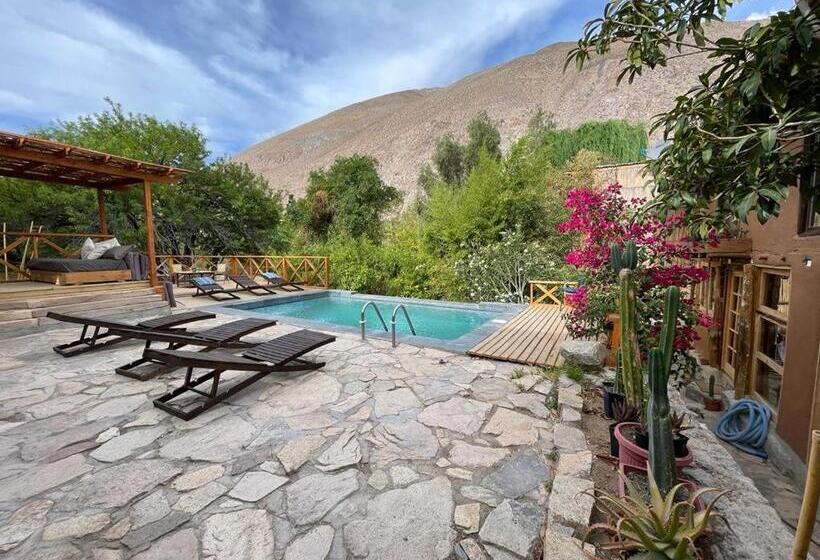 Bed and Breakfast Casa Gabriela, Monte Grande ,valle De Elqui