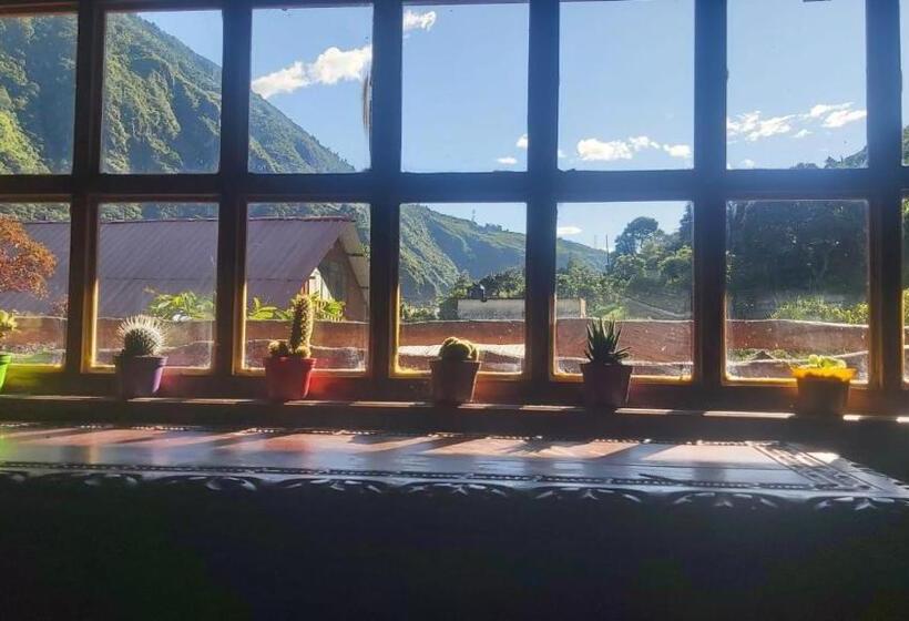 Bed and Breakfast Dystopia Hostel   All Day Breakfast