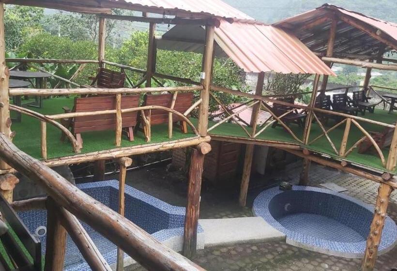 Bed and Breakfast Dystopia Hostel   All Day Breakfast