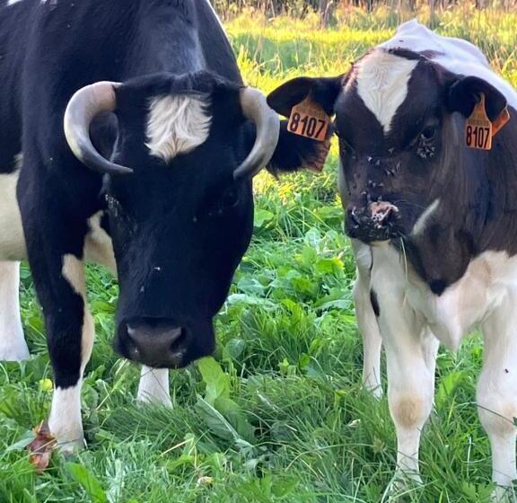 민박 La Prémoudiere