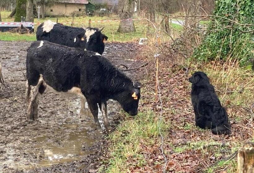 민박 La Prémoudiere