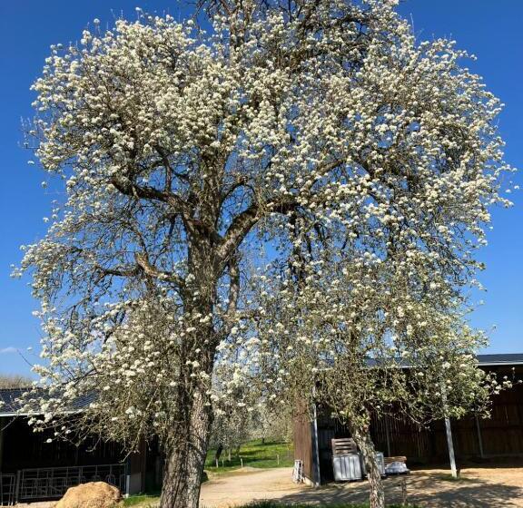 민박 La Prémoudiere