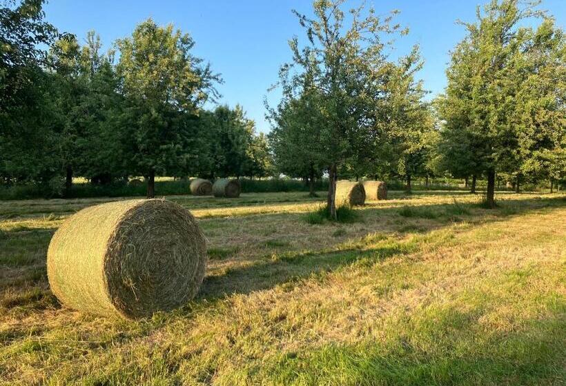 민박 La Prémoudiere