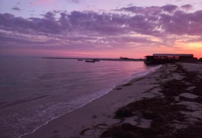 住宿加早餐  Rancheria Shiasukay