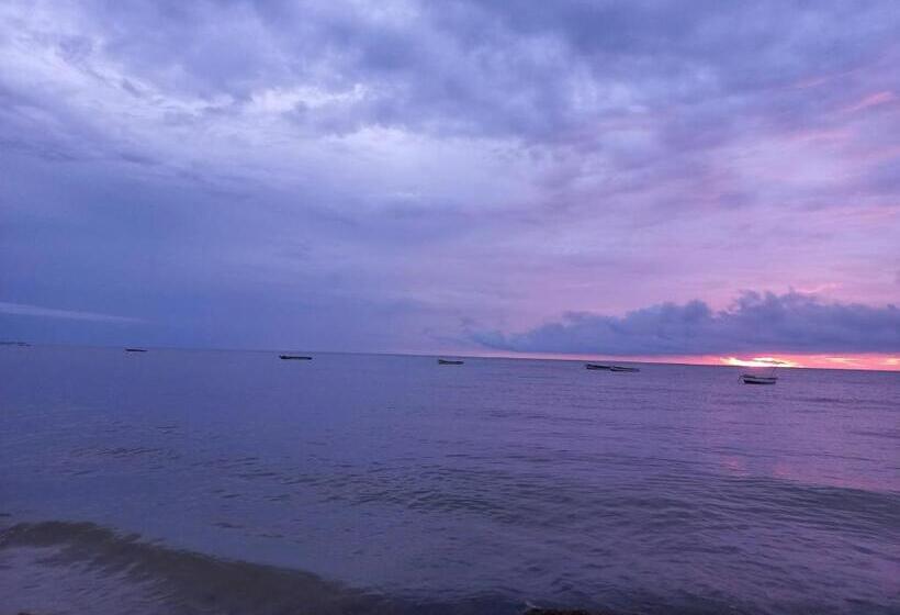 住宿加早餐  Rancheria Shiasukay