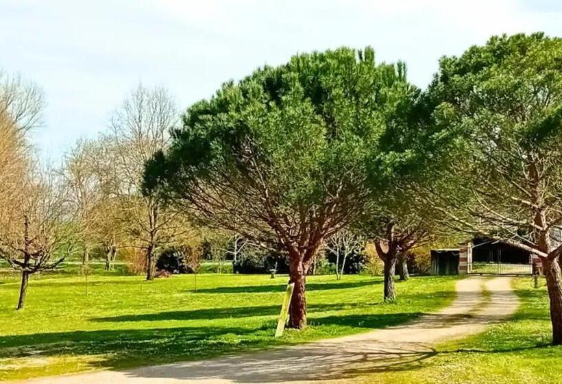 مبيت وإفطار Spacieuse Chambre Indépendante Avec Salle D Eau Privative à Lempaut